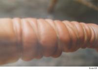 MMGP_G-on_115 MMGP_G-on_115